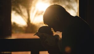 Analiza Ekonomii, Dokładności i Wartości Prawnej Testów DNA na Ojcostwo: Jak Wybrać Optymalną Ofertę